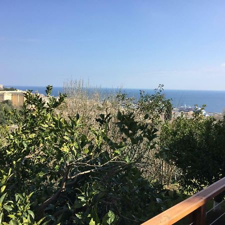 La Petite Villa Marie, Jardin Vue Mer Et Montagne Bastia  Exteriör bild