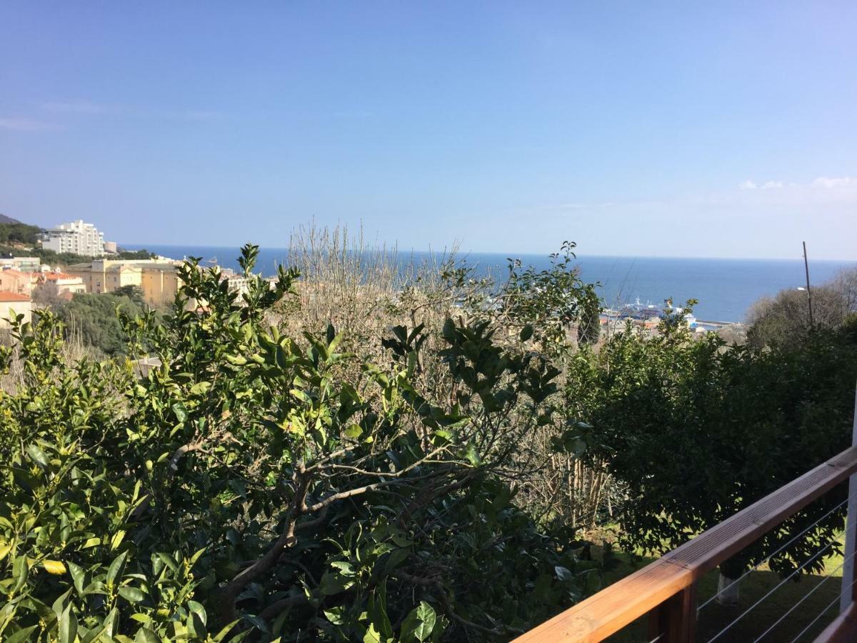 La Petite Villa Marie, Jardin Vue Mer Et Montagne Bastia  Exteriör bild