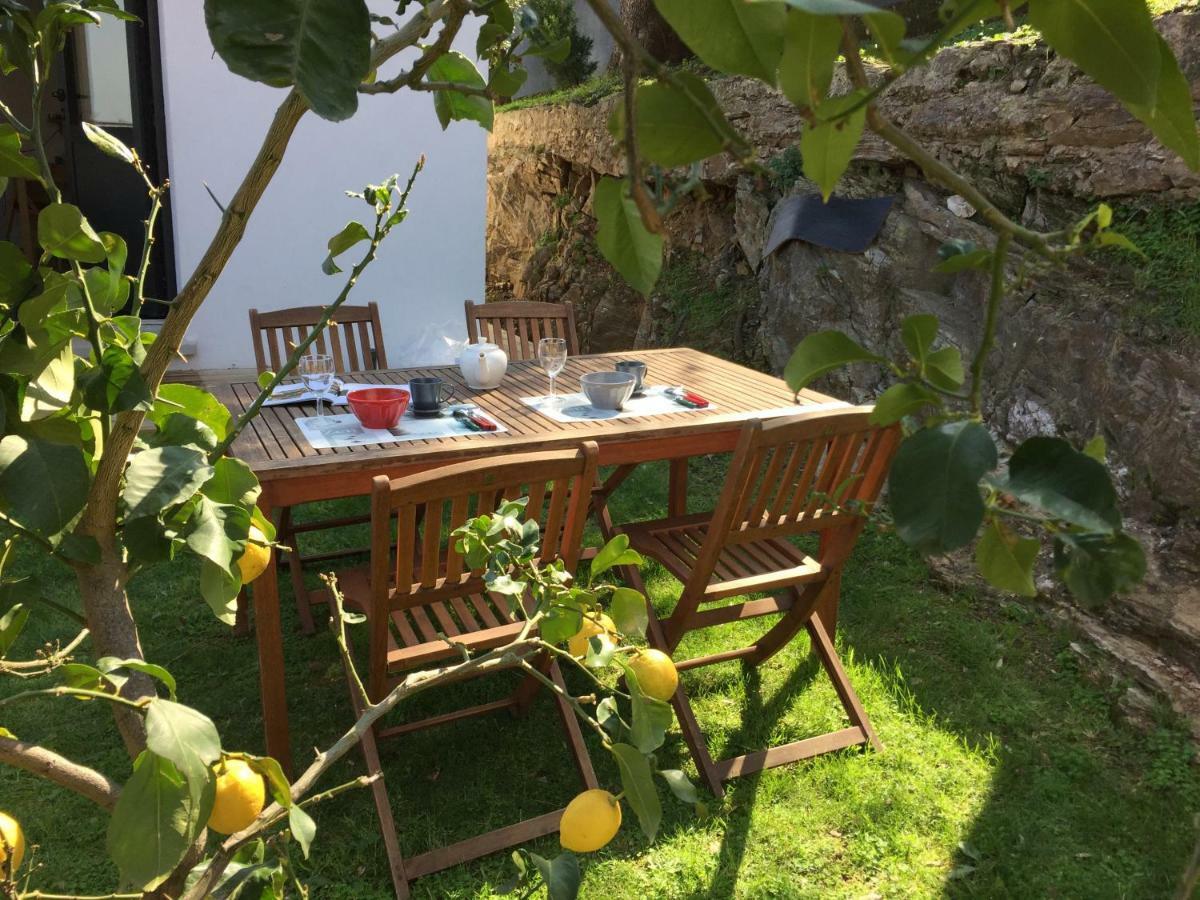 La Petite Villa Marie, Jardin Vue Mer Et Montagne Bastia  Exteriör bild