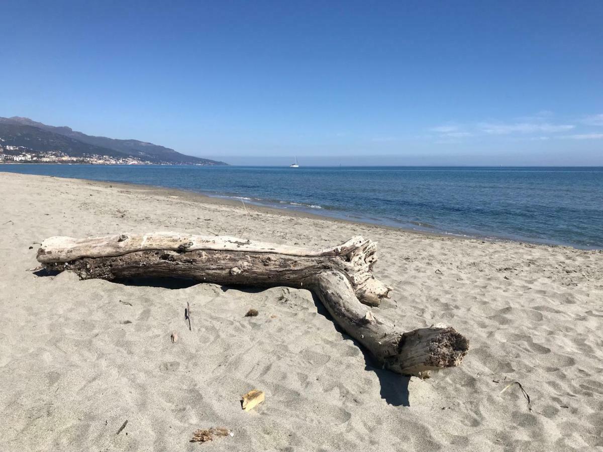 La Petite Villa Marie, Jardin Vue Mer Et Montagne Bastia  Exteriör bild